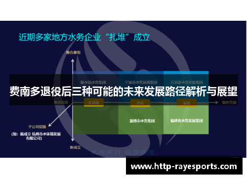 费南多退役后三种可能的未来发展路径解析与展望